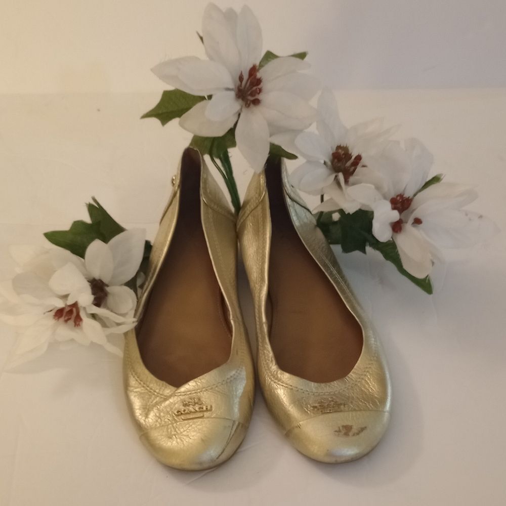 🆕Coach Chelsea Gold Ballerina Flats